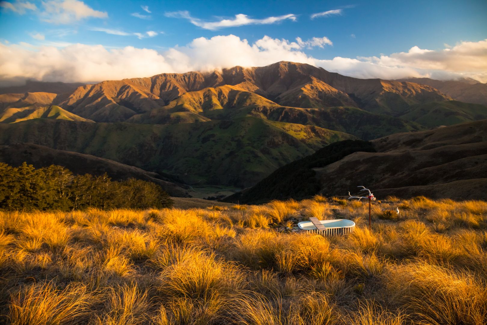 tourism central otago