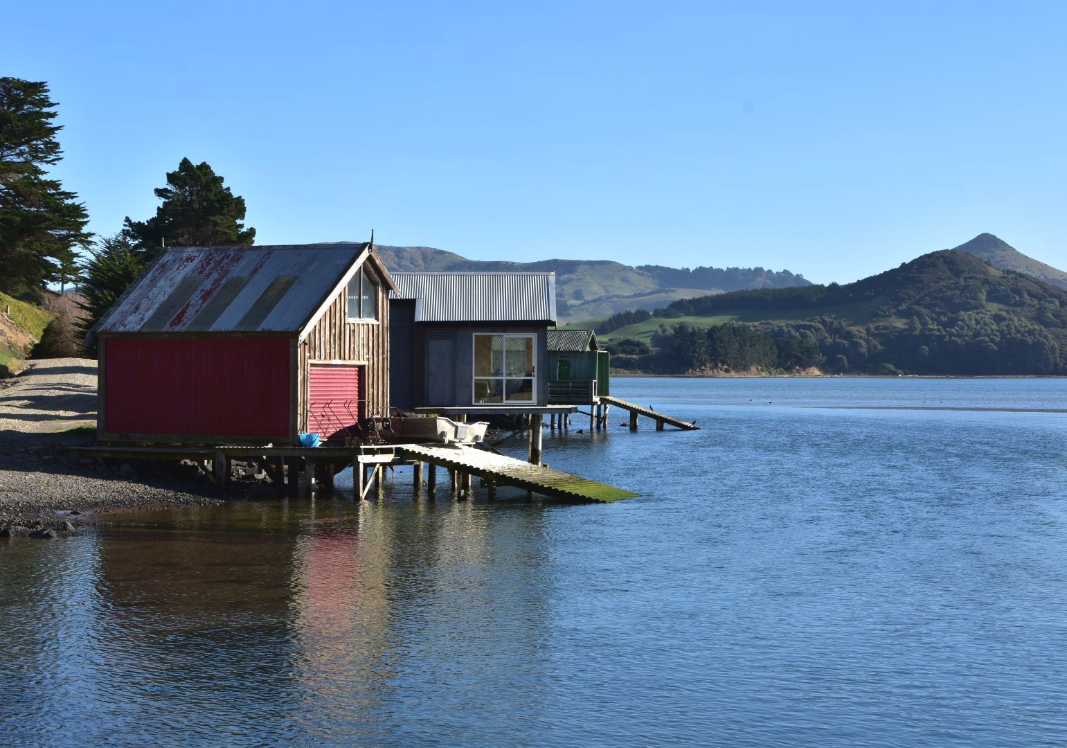 otago boat tours