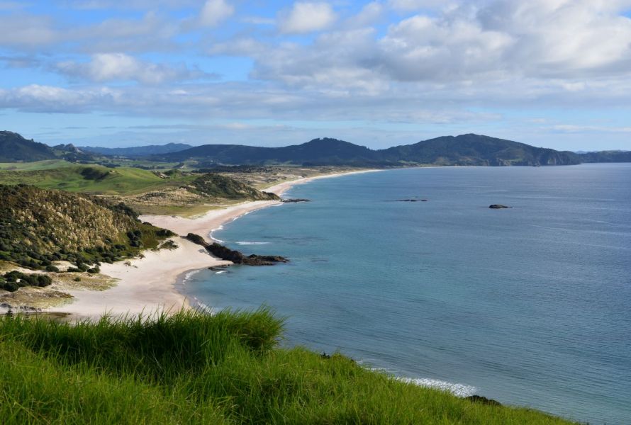 Bream Head Walk