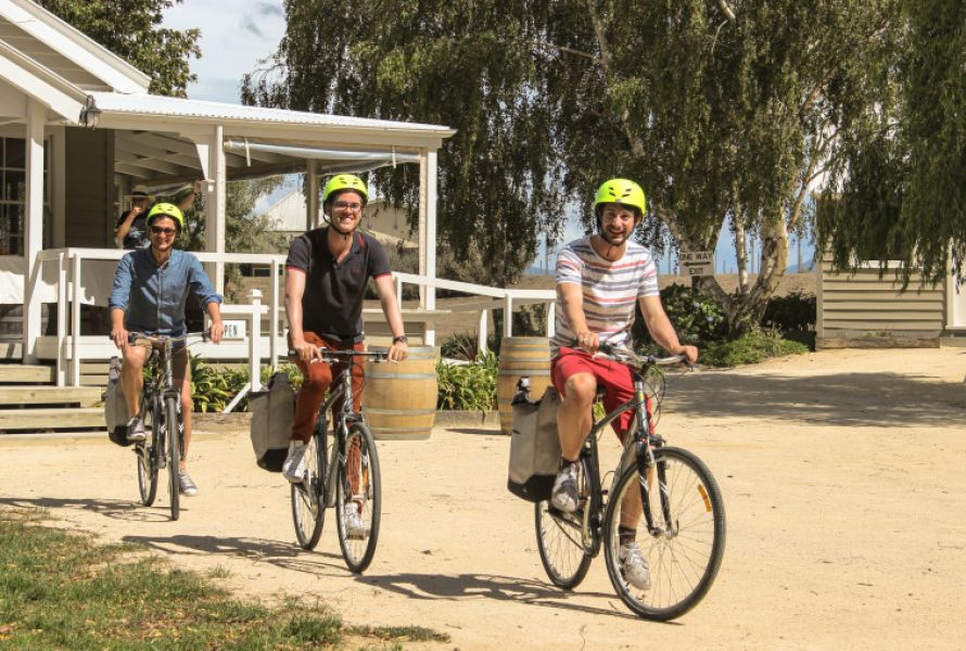 Martinborough Cycling Tour