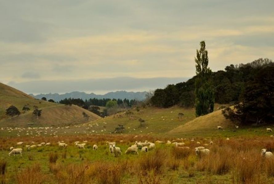 Whareama Coastal Walk